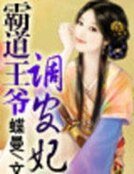 霸道王爷调皮妃